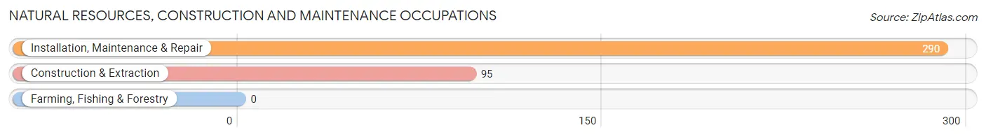 Natural Resources, Construction and Maintenance Occupations in Zip Code 75969