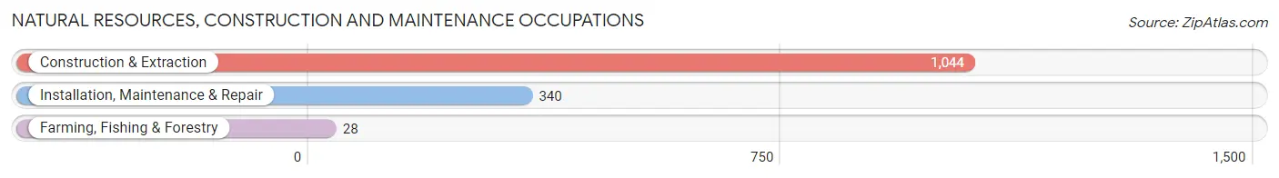 Natural Resources, Construction and Maintenance Occupations in Zip Code 76012