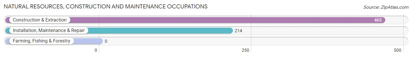 Natural Resources, Construction and Maintenance Occupations in Zip Code 76301