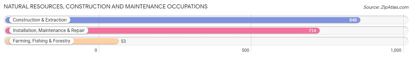 Natural Resources, Construction and Maintenance Occupations in Zip Code 77090