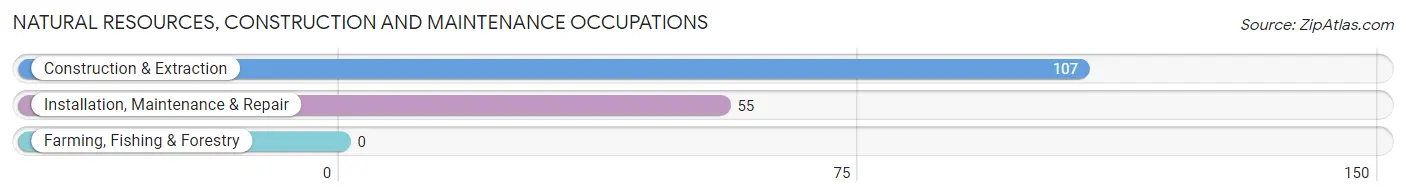 Natural Resources, Construction and Maintenance Occupations in Zip Code 77565