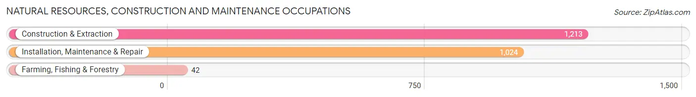 Natural Resources, Construction and Maintenance Occupations in Zip Code 77901