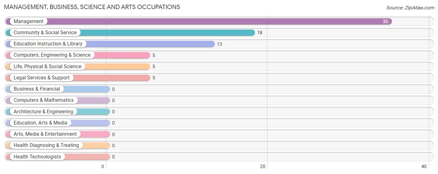 Management, Business, Science and Arts Occupations in Zip Code 78072