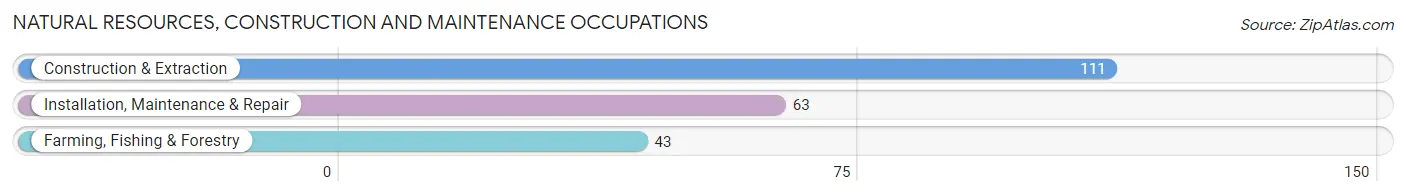 Natural Resources, Construction and Maintenance Occupations in Zip Code 78113