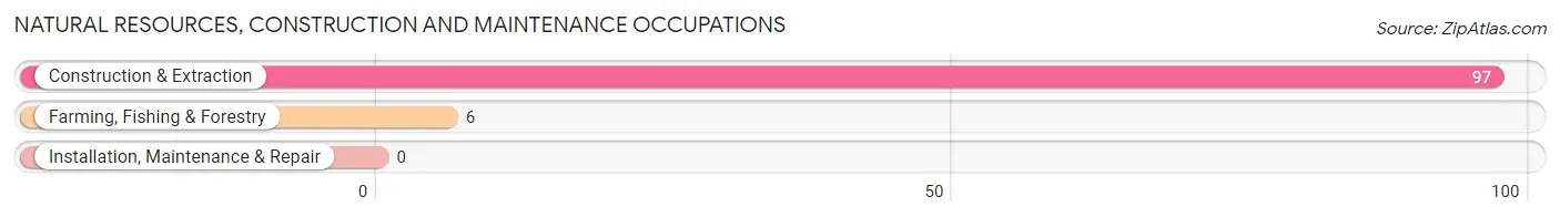 Natural Resources, Construction and Maintenance Occupations in Zip Code 78151