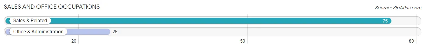 Sales and Office Occupations in Zip Code 78151