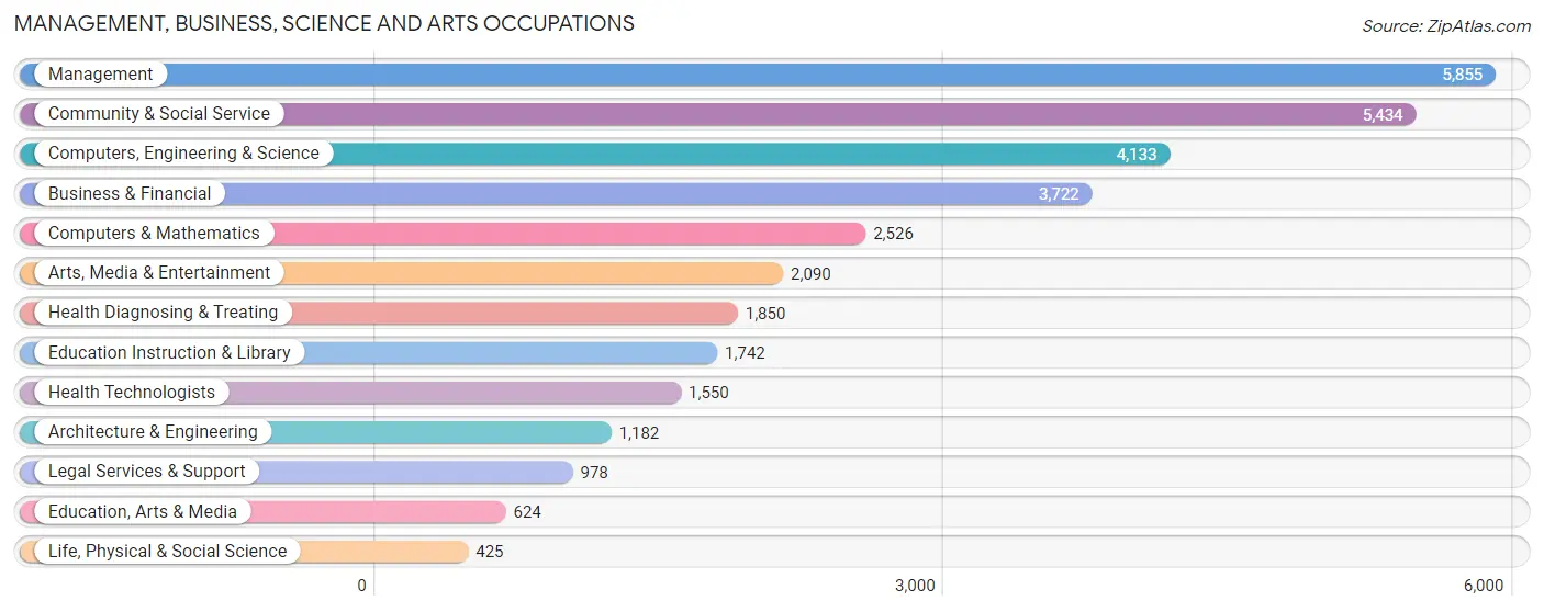 Management, Business, Science and Arts Occupations in Zip Code 78704