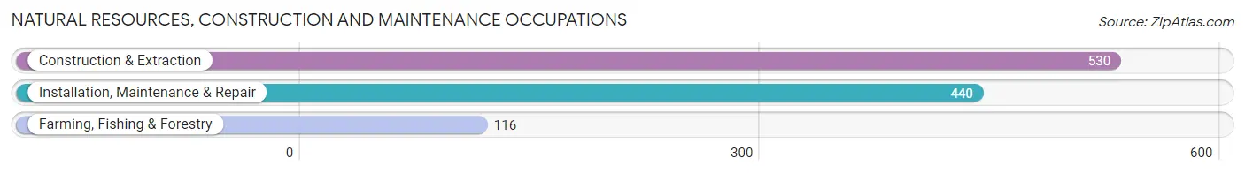 Natural Resources, Construction and Maintenance Occupations in Zip Code 78704