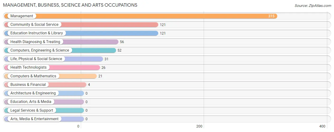 Management, Business, Science and Arts Occupations in Zip Code 79359