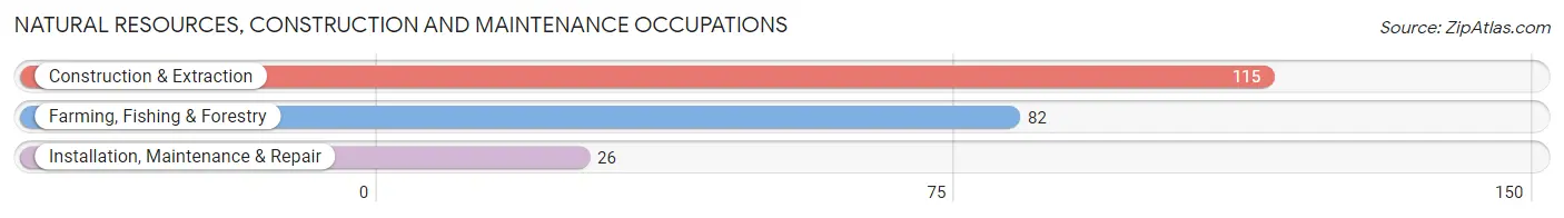 Natural Resources, Construction and Maintenance Occupations in Zip Code 79359