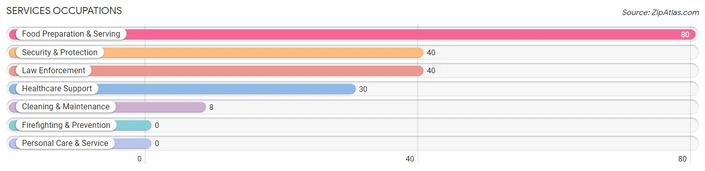 Services Occupations in Zip Code 79359