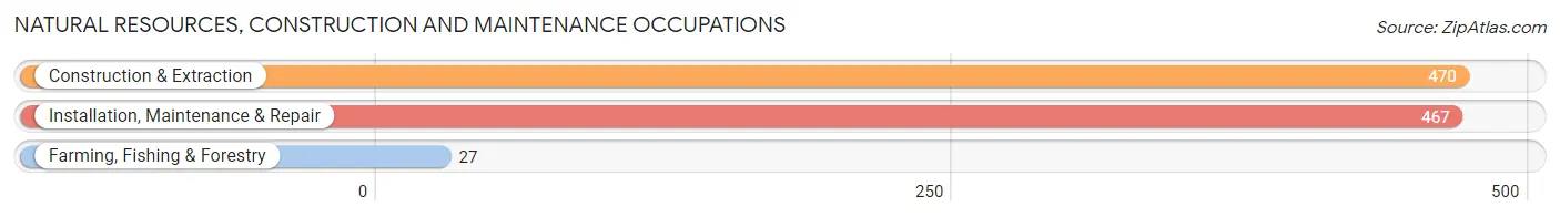 Natural Resources, Construction and Maintenance Occupations in Zip Code 83202