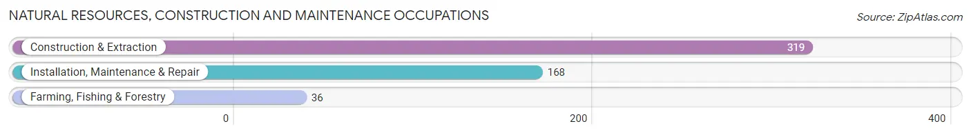 Natural Resources, Construction and Maintenance Occupations in Zip Code 83263