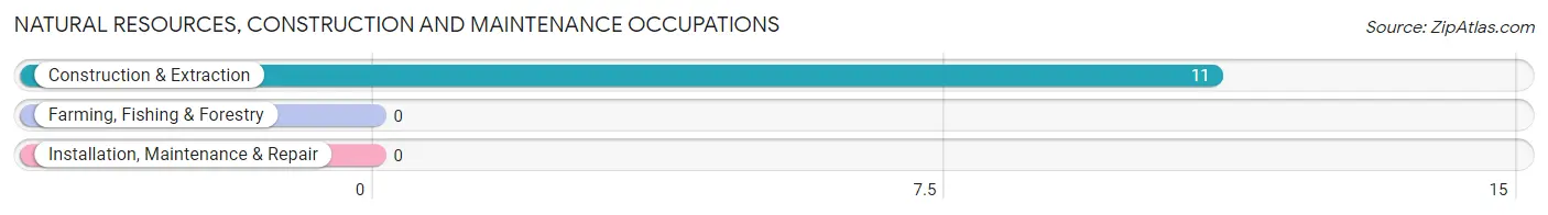 Natural Resources, Construction and Maintenance Occupations in Zip Code 83542