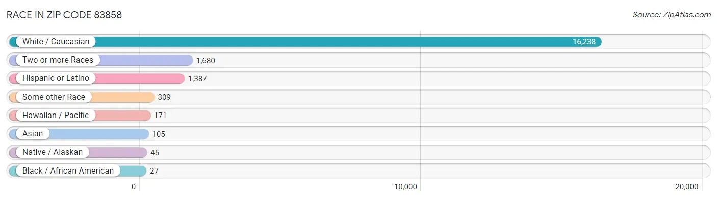 Race in Zip Code 83858