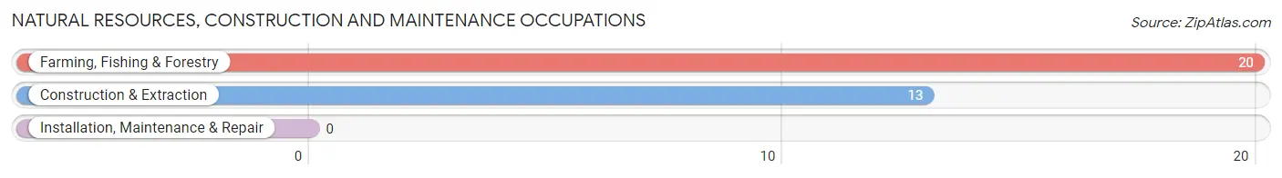 Natural Resources, Construction and Maintenance Occupations in Zip Code 84063