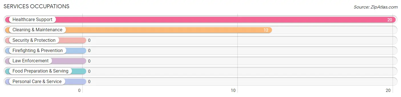 Services Occupations in Zip Code 84063