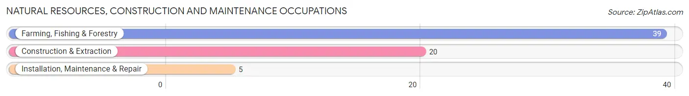 Natural Resources, Construction and Maintenance Occupations in Zip Code 84657