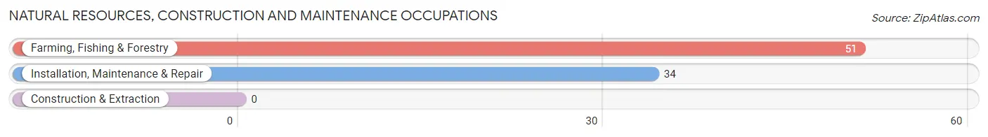 Natural Resources, Construction and Maintenance Occupations in Zip Code 85352