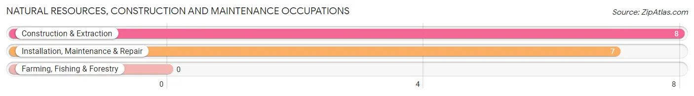 Natural Resources, Construction and Maintenance Occupations in Zip Code 85618