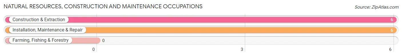 Natural Resources, Construction and Maintenance Occupations in Zip Code 89124