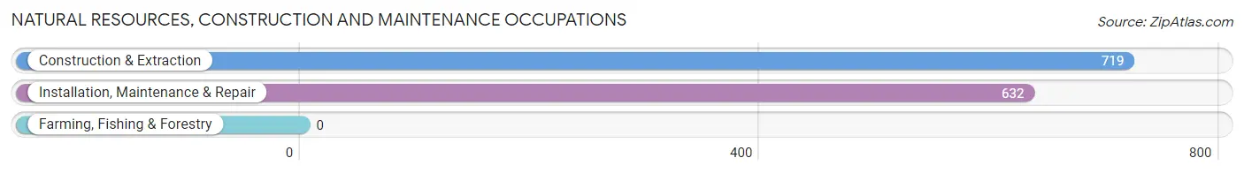 Natural Resources, Construction and Maintenance Occupations in Zip Code 89148