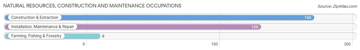 Natural Resources, Construction and Maintenance Occupations in Zip Code 92602