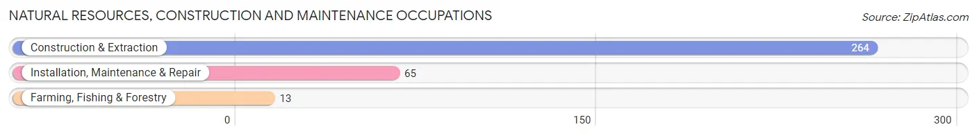 Natural Resources, Construction and Maintenance Occupations in Zip Code 94133