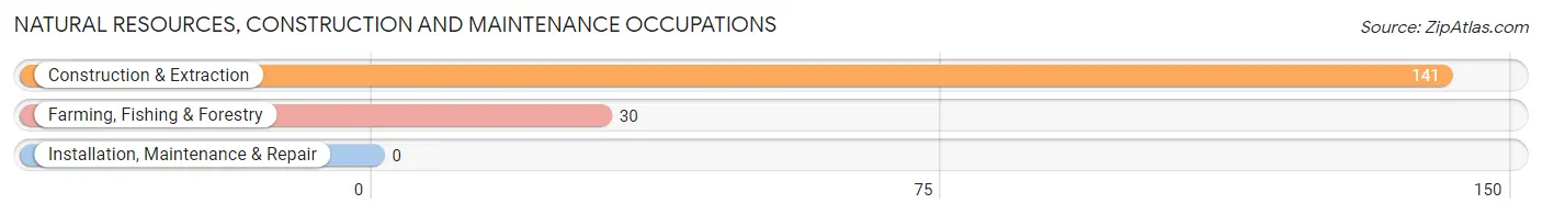 Natural Resources, Construction and Maintenance Occupations in Zip Code 96754