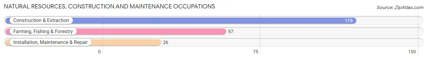 Natural Resources, Construction and Maintenance Occupations in Zip Code 97535