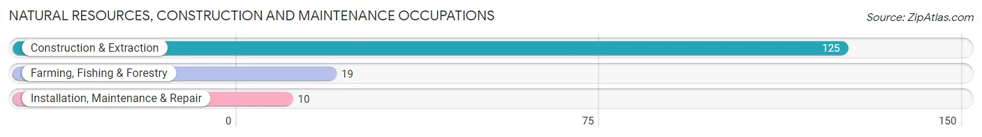 Natural Resources, Construction and Maintenance Occupations in Zip Code 97541