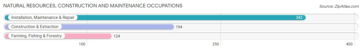 Natural Resources, Construction and Maintenance Occupations in Zip Code 97882