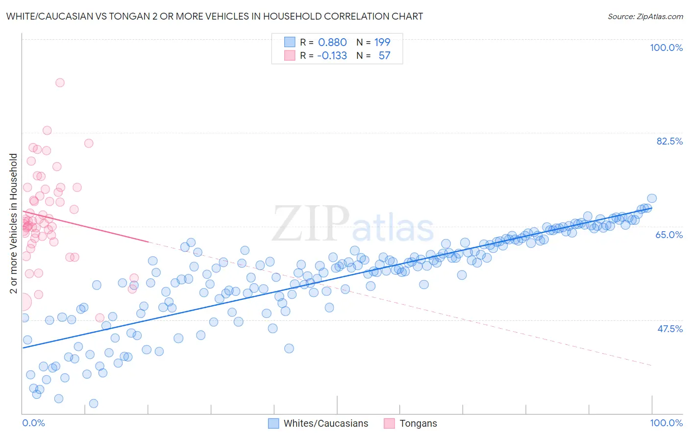 White/Caucasian vs Tongan 2 or more Vehicles in Household