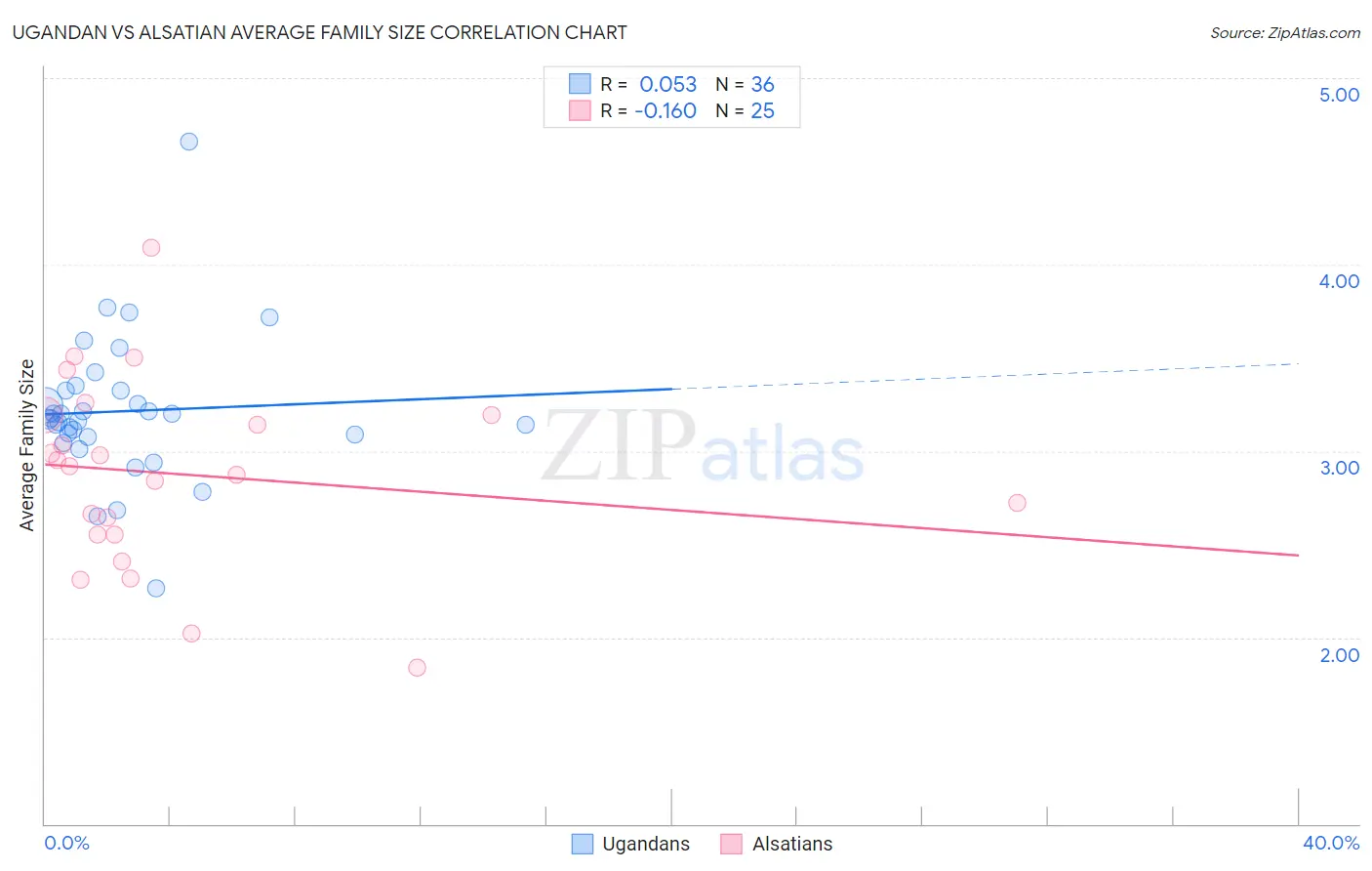 Ugandan vs Alsatian Average Family Size