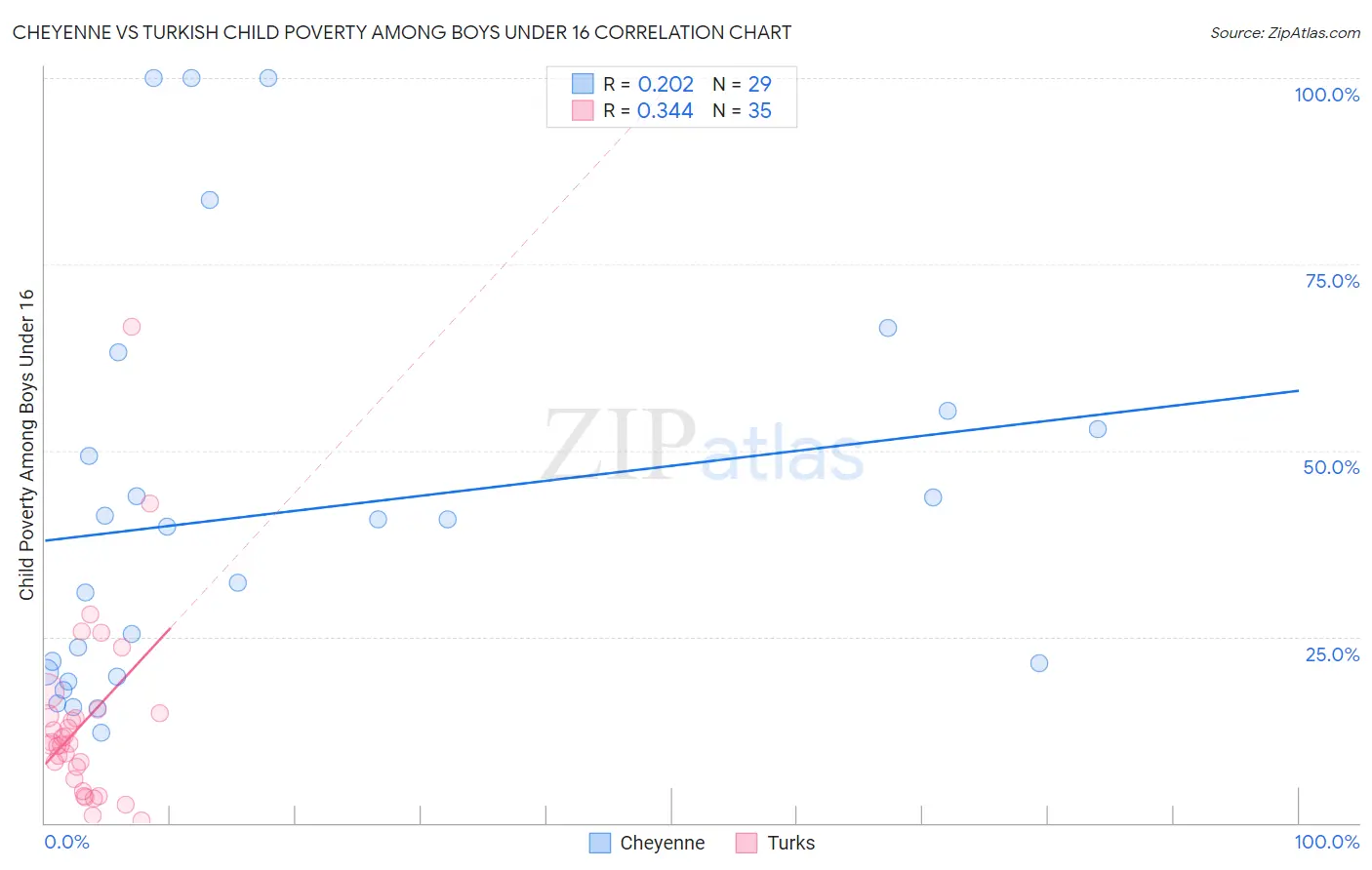 Cheyenne vs Turkish Child Poverty Among Boys Under 16