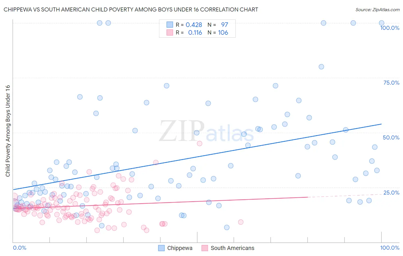 Chippewa vs South American Child Poverty Among Boys Under 16