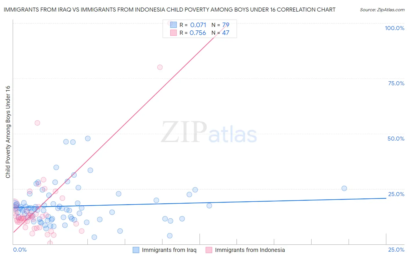 Immigrants from Iraq vs Immigrants from Indonesia Child Poverty Among Boys Under 16