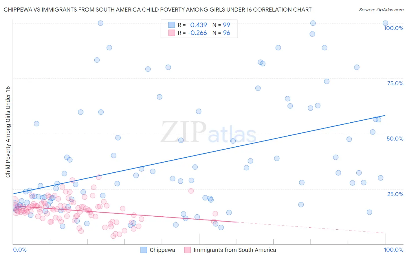 Chippewa vs Immigrants from South America Child Poverty Among Girls Under 16