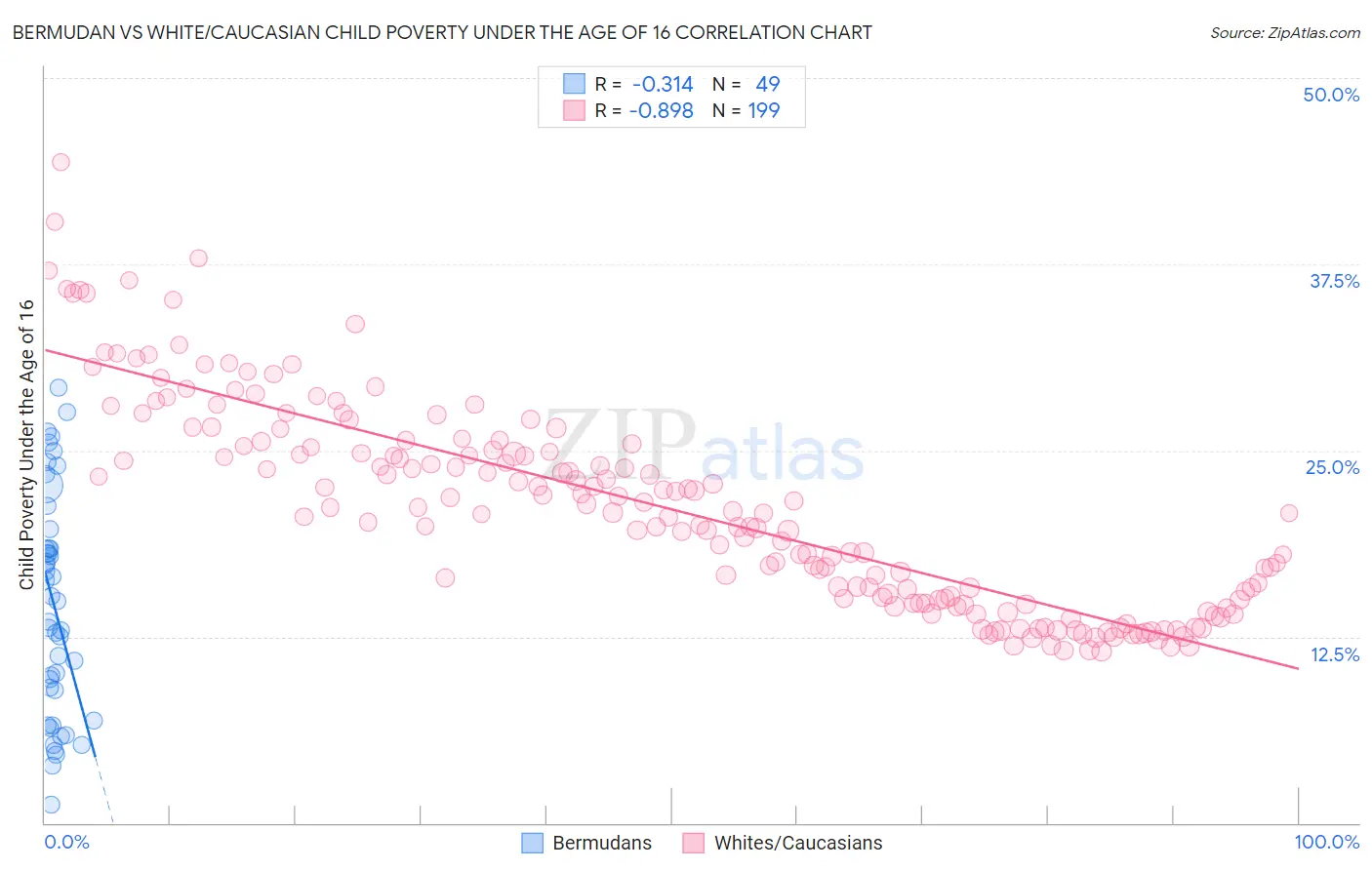 Bermudan vs White/Caucasian Child Poverty Under the Age of 16