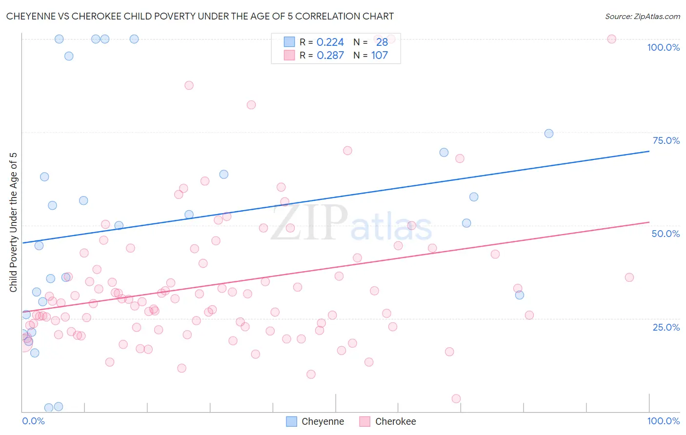 Cheyenne vs Cherokee Child Poverty Under the Age of 5