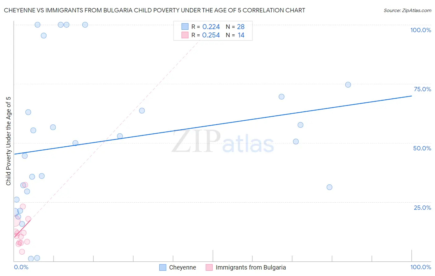 Cheyenne vs Immigrants from Bulgaria Child Poverty Under the Age of 5