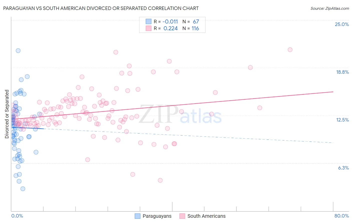 Paraguayan vs South American Divorced or Separated