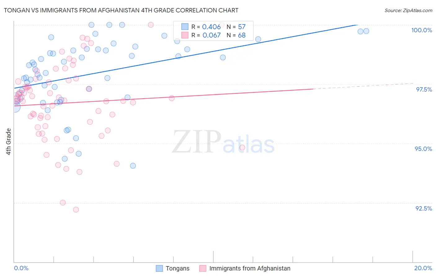 Tongan vs Immigrants from Afghanistan 4th Grade