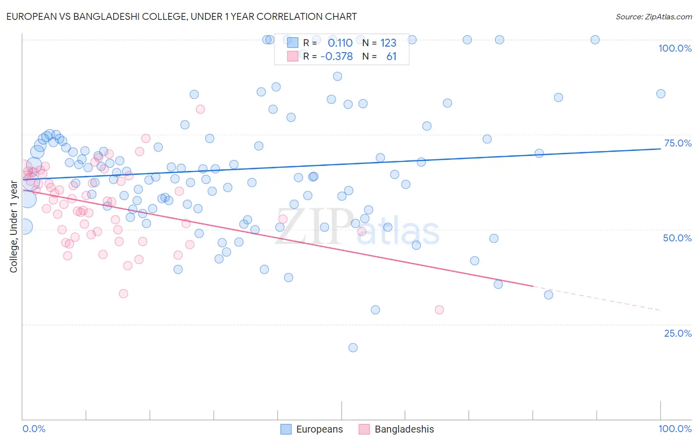 European vs Bangladeshi College, Under 1 year