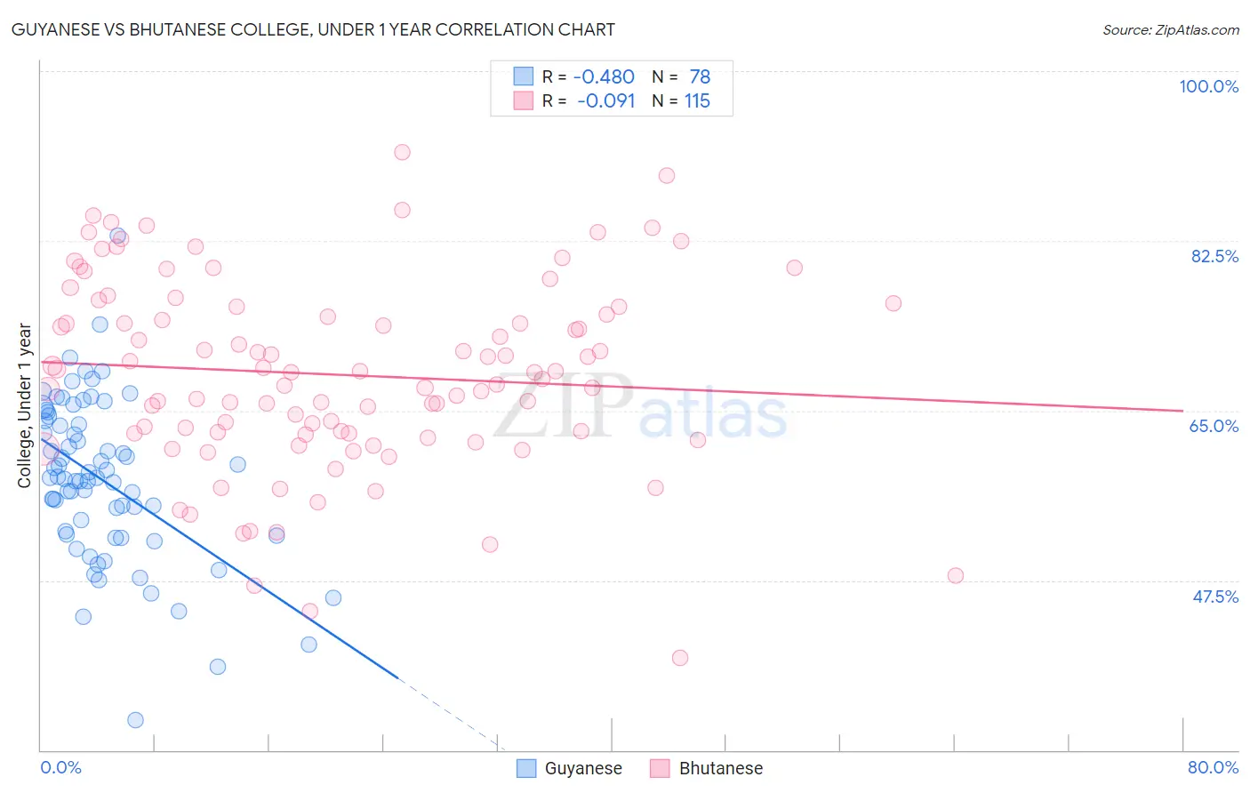 Guyanese vs Bhutanese College, Under 1 year