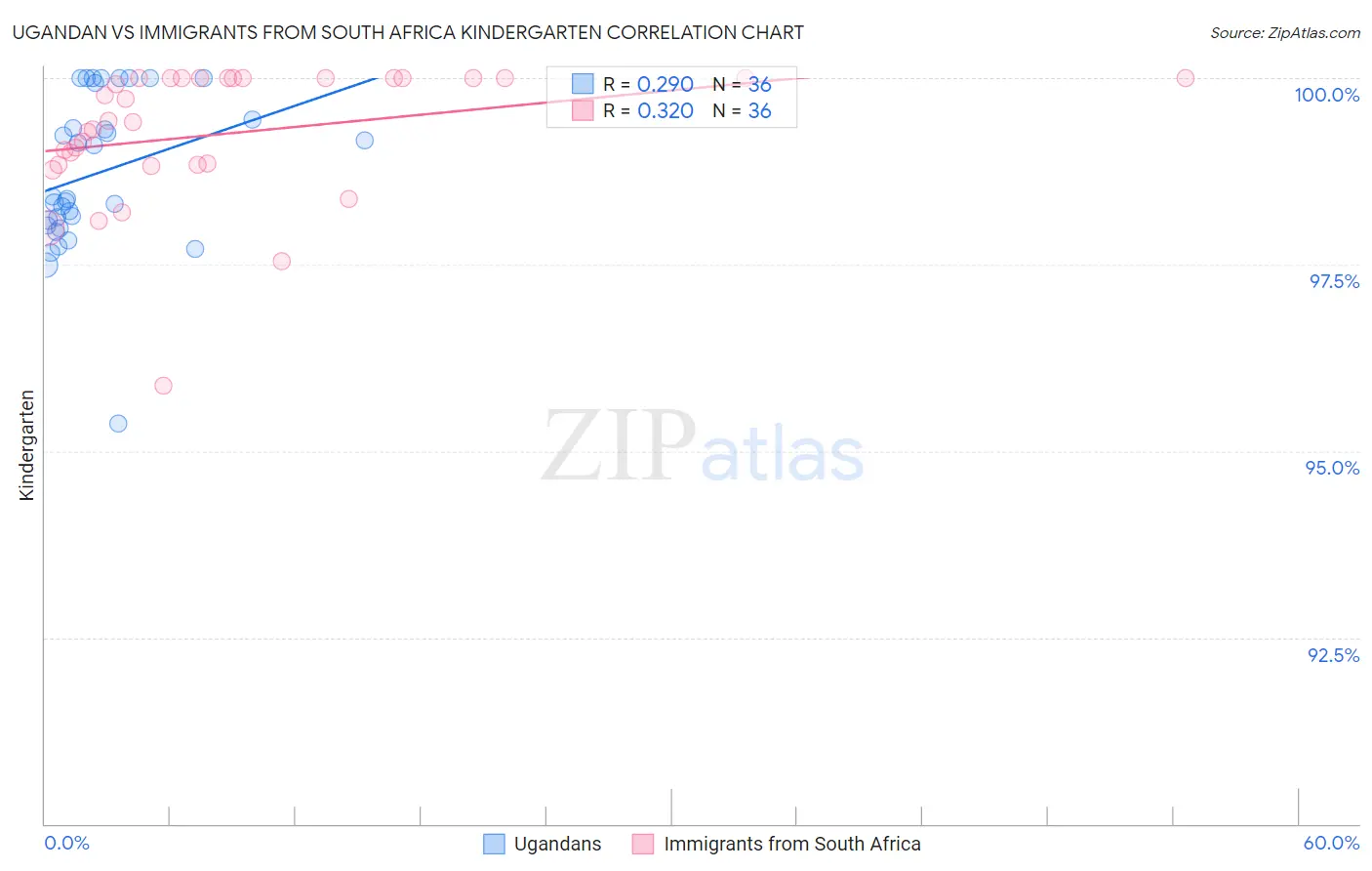 Ugandan vs Immigrants from South Africa Kindergarten