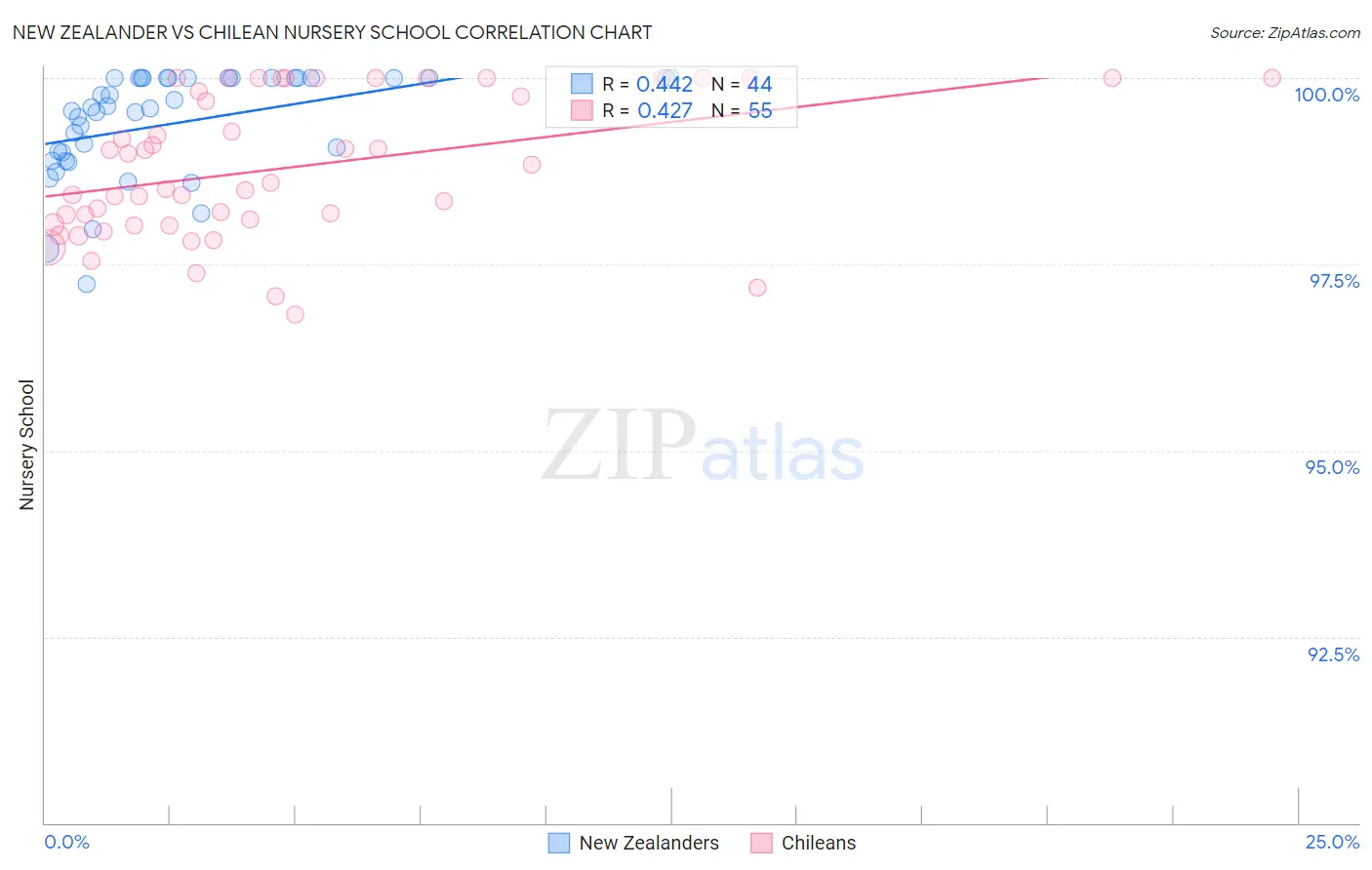 New Zealander vs Chilean Nursery School