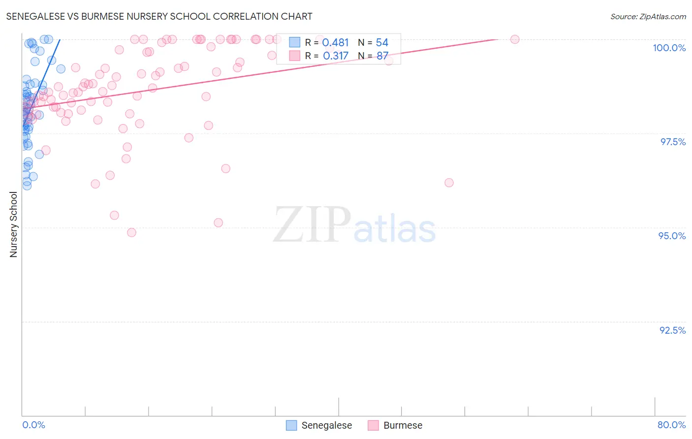 Senegalese vs Burmese Nursery School