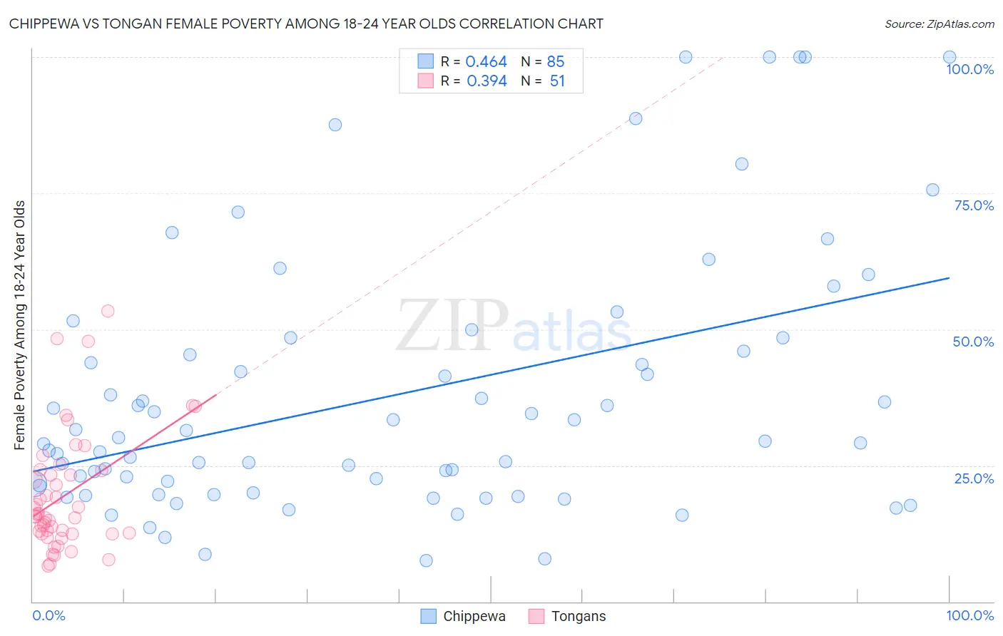 Chippewa vs Tongan Female Poverty Among 18-24 Year Olds