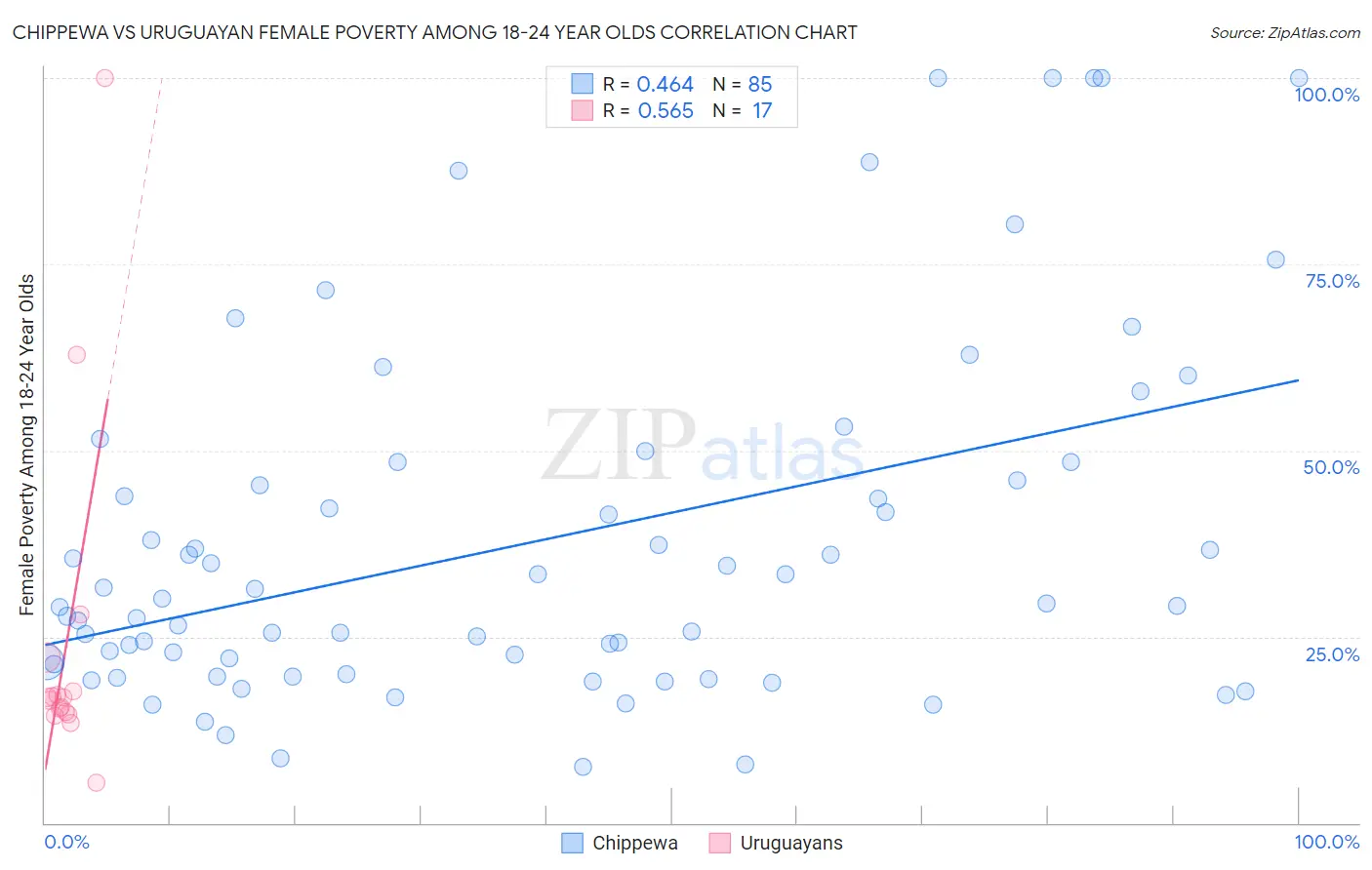 Chippewa vs Uruguayan Female Poverty Among 18-24 Year Olds